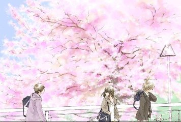 深入了解 老中医Spa玛莎拉蒂91